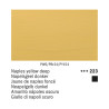 Amsterdam Acrylic 223 Giallo Napoli Scuro | Royal Talens
