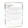 RENNER EVOLUTION 750 ML – SMALTO MULTISUPERFICIE ALL’ACQUA