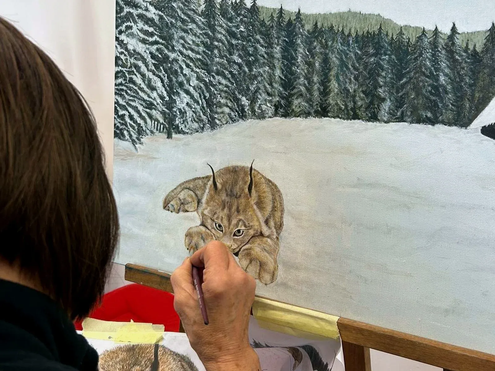 Foto e video del corso